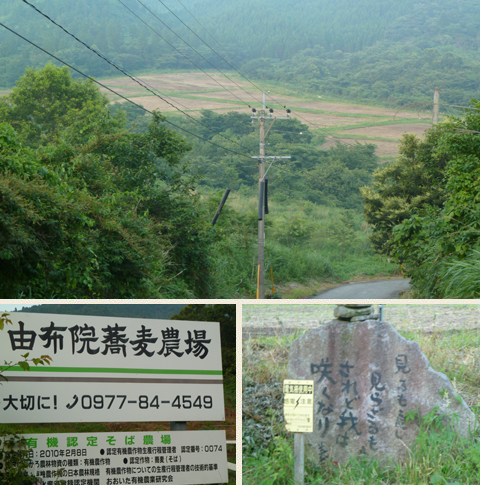 湯布院蕎麦農園