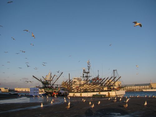 釧路港