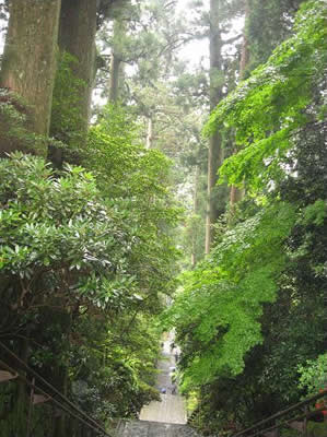 大雄山最乗寺