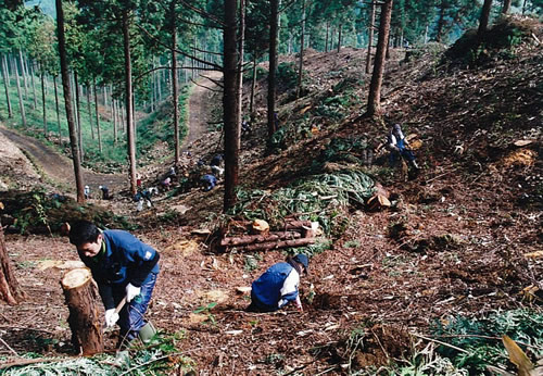 欅山にて植樹